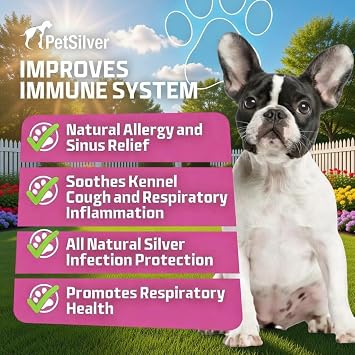 PetSilver Immune Support, Respiratory Nebulizer Solution, USA, 16 fl oz