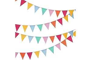 Shappy 24 Pieces Popsicle Party Decorations Colorful Pennant Flags