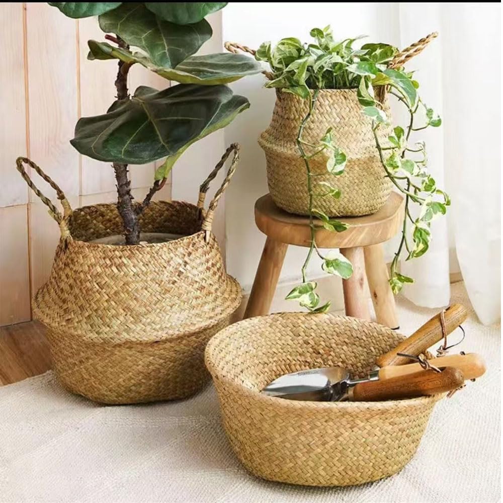 Cesta de junco marino de, juego de 3 unidades, tejido natural, cesta para almacenamiento con asa plegable, para colgar, para maceta, como decoracioacuten
