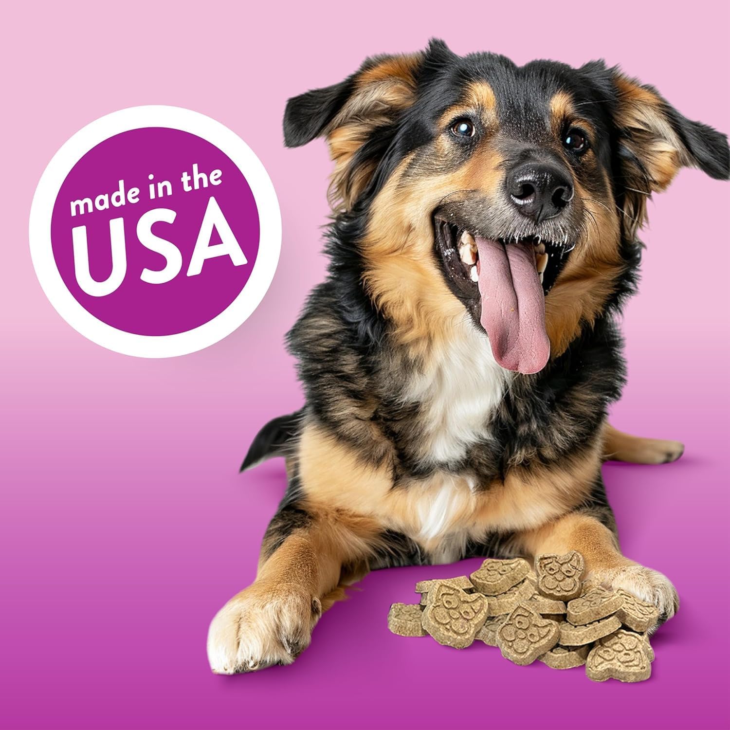Spunky pup Every Day Biscuit Dog Treats - All-Natural, Handmade in USA, Perfect for Training or Snacking, 4 lb Resealable Bucket- Bucket of Biscuits- Prime Rib Flavor