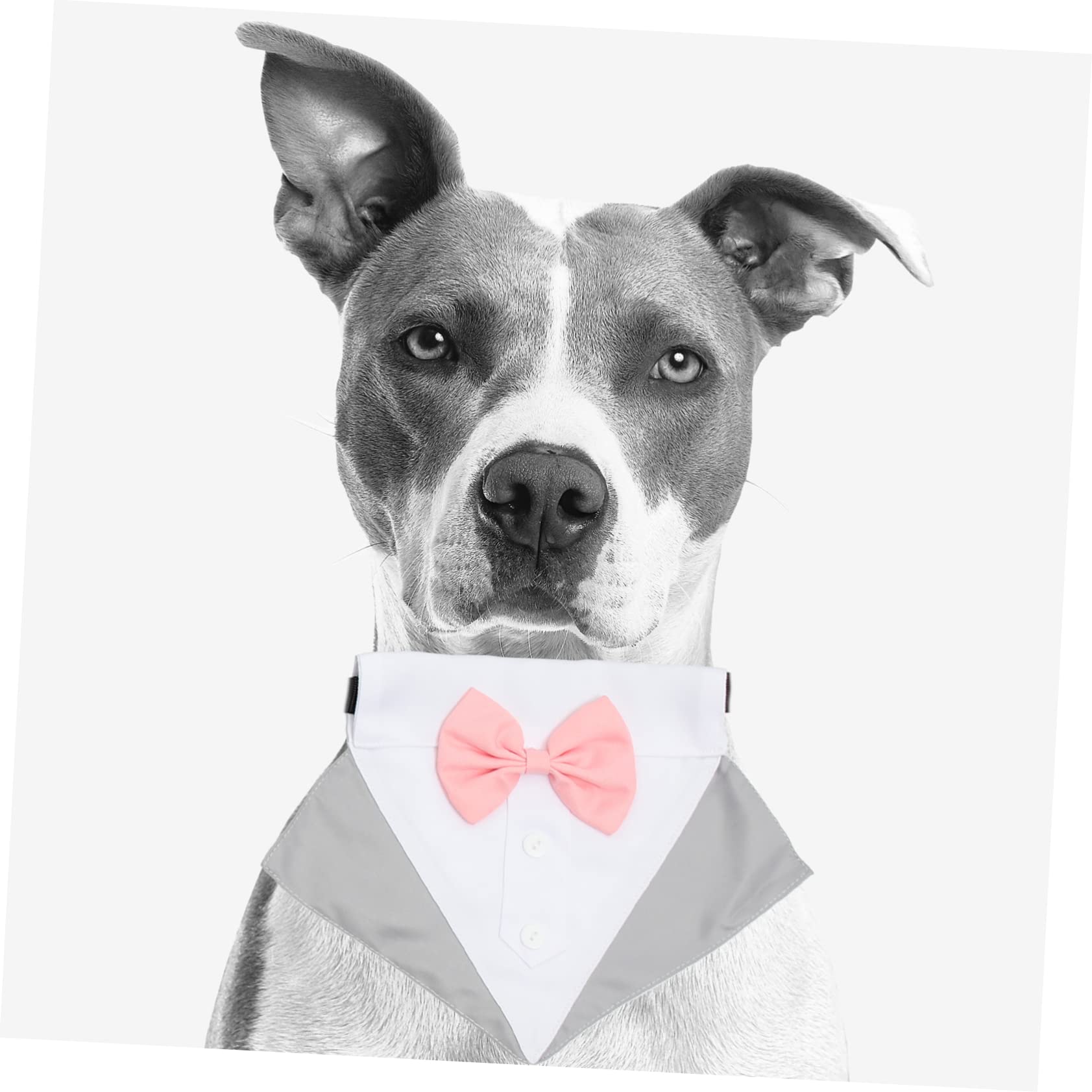 YARNOW 2 Set tuta per cani cappotto cane cappottino cane camicia con per cani abbigliamento formale per animali domestici vestiti abito costume da compagnia vestito per cani