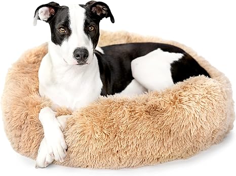 memory foam donut dog bed