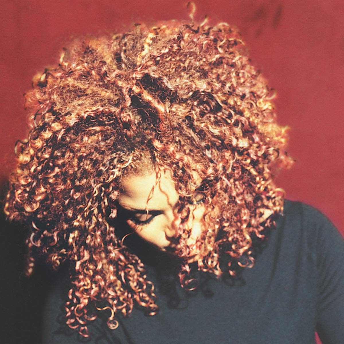 The Velvet Rope [VINYL]