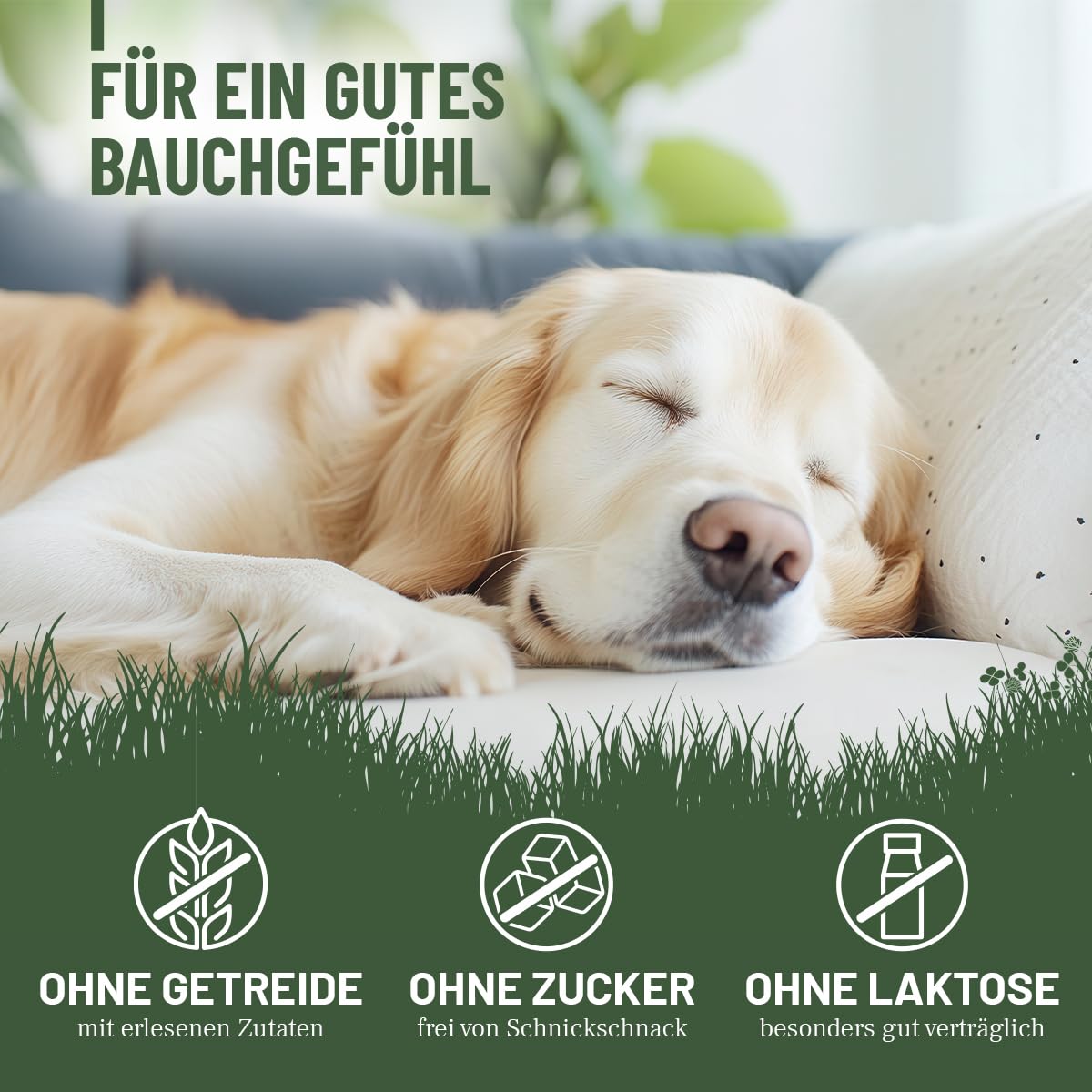 ReaVET Gras & Kotfresser Drops für Hunde – bei Fressen von Gras & KOT – beruhigt den Magen & reduziert Sodbrennen – Grasfresser Drops mit Heilerde, Ayurvedische Heilpflanze I 350g (180 Stück)