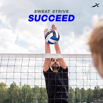 Buy Vector X 18 Panel Court Volley Genuine Leather Moulded Indoor