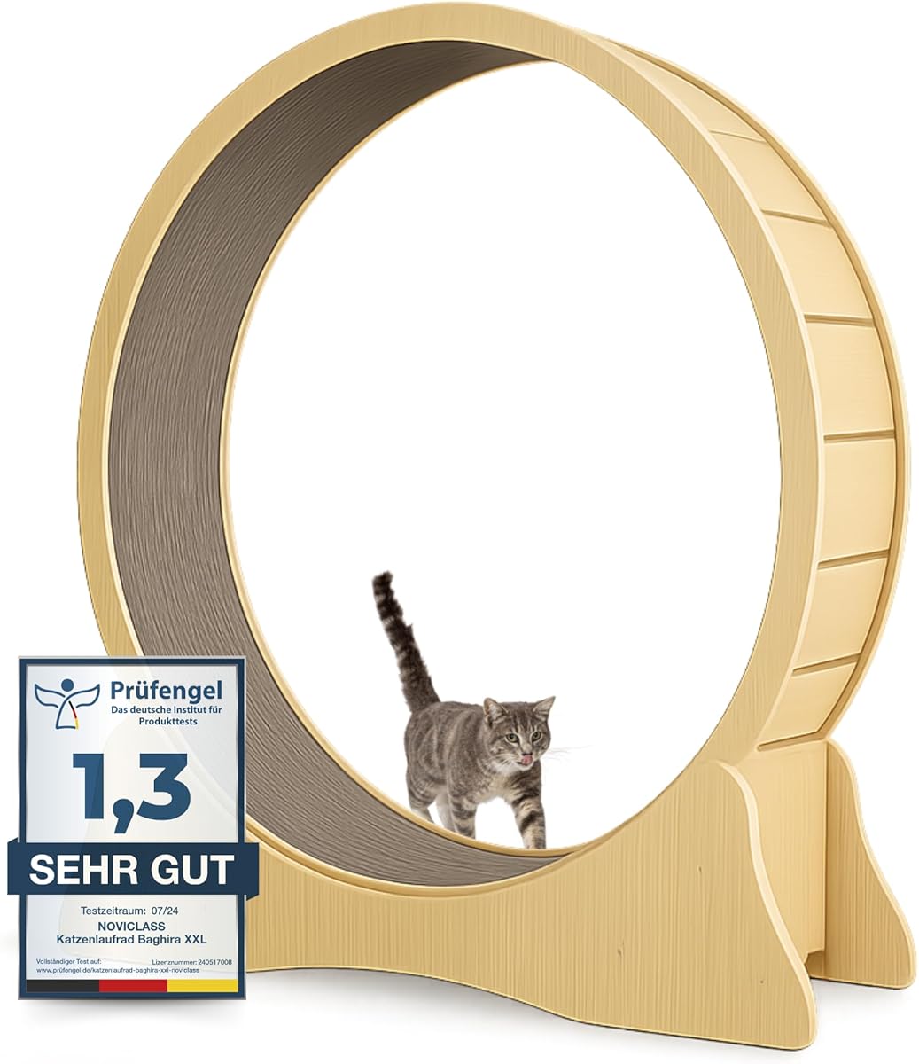 Katzenlaufrad Baghira Groß XXL | 132cm Durchmesser Artgerecht für große Katzen | Kratzfest, stabil und leise | Gratis Spielzeug und E-Book | Geprüfte Qualität (Holz)