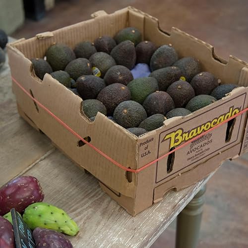 Miniatura 3 de Alliance Bandas de goma 08997 de gran tamaño bandas de goma de látex grandes y resistentes paquete de 24 incluye 8 bandas de cada tamaño 12 pulgadas