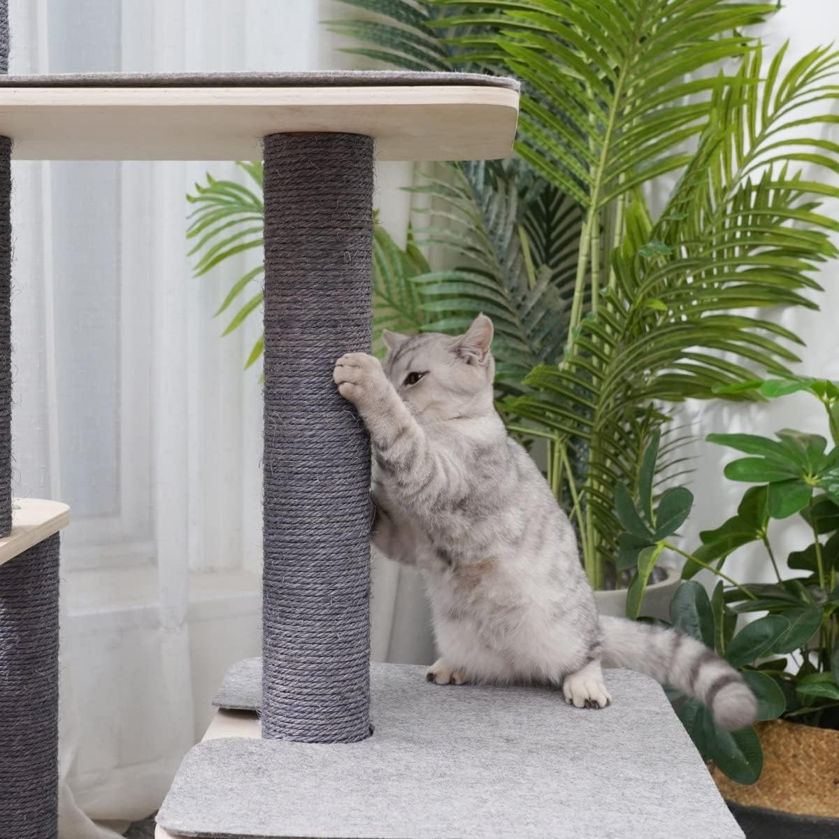 AGILE 59" Modern Real Pine Plywood Cat Tree Condo Tower with Natural Sisal Scratching Climbing Posts and Napping Hammock (Loki)