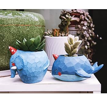 Amazon.co.jp: Qinsuee ブルークジラ 多肉植物ポット 5.3x2.9