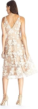 Amazon.com: Dress the Population Womens Elisa Sleeveless Plunge Neckline Fit  and Flare Midi, Dusty Pink Multi, XX-Small US : Clothing, Shoes & Jewelry