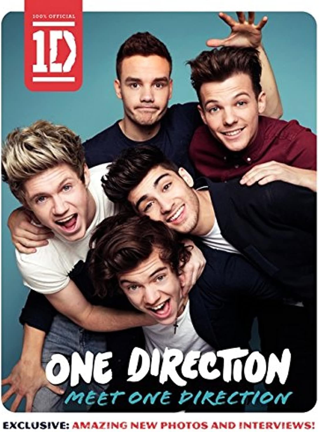 HarperCollins One Direction: Meet One Direction
