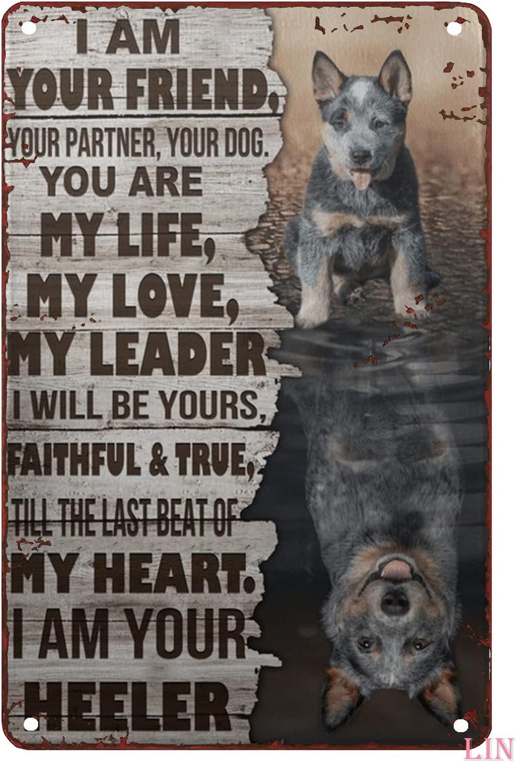 Kwqdozf F5 12X16inch Funny Metal Signs Vintage Blue Heeler I Am Your Friend Your Partn