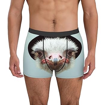 新品 MADRID FLY パンツ XL寸 Amazon | [COOLEAD] 面白い 駝鳥 ダチョウ ボクサーパンツ