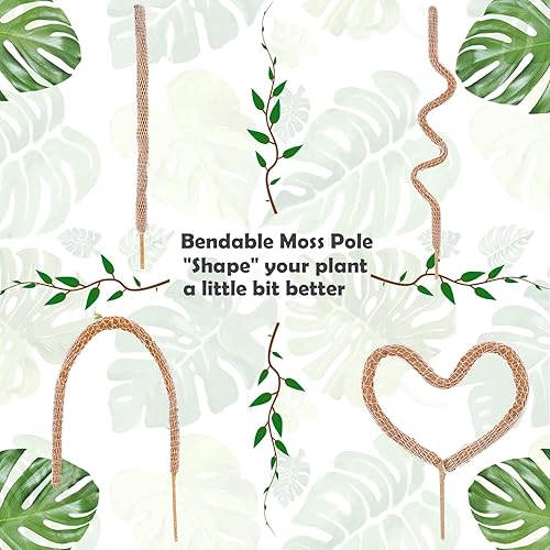Miniatura 3 de Poste de musgo, postes de coco natural, 1 paquete de postes de musgo flexibles de 63 pulgadas, forma de bricolaje, soporte de plantas para plantas
