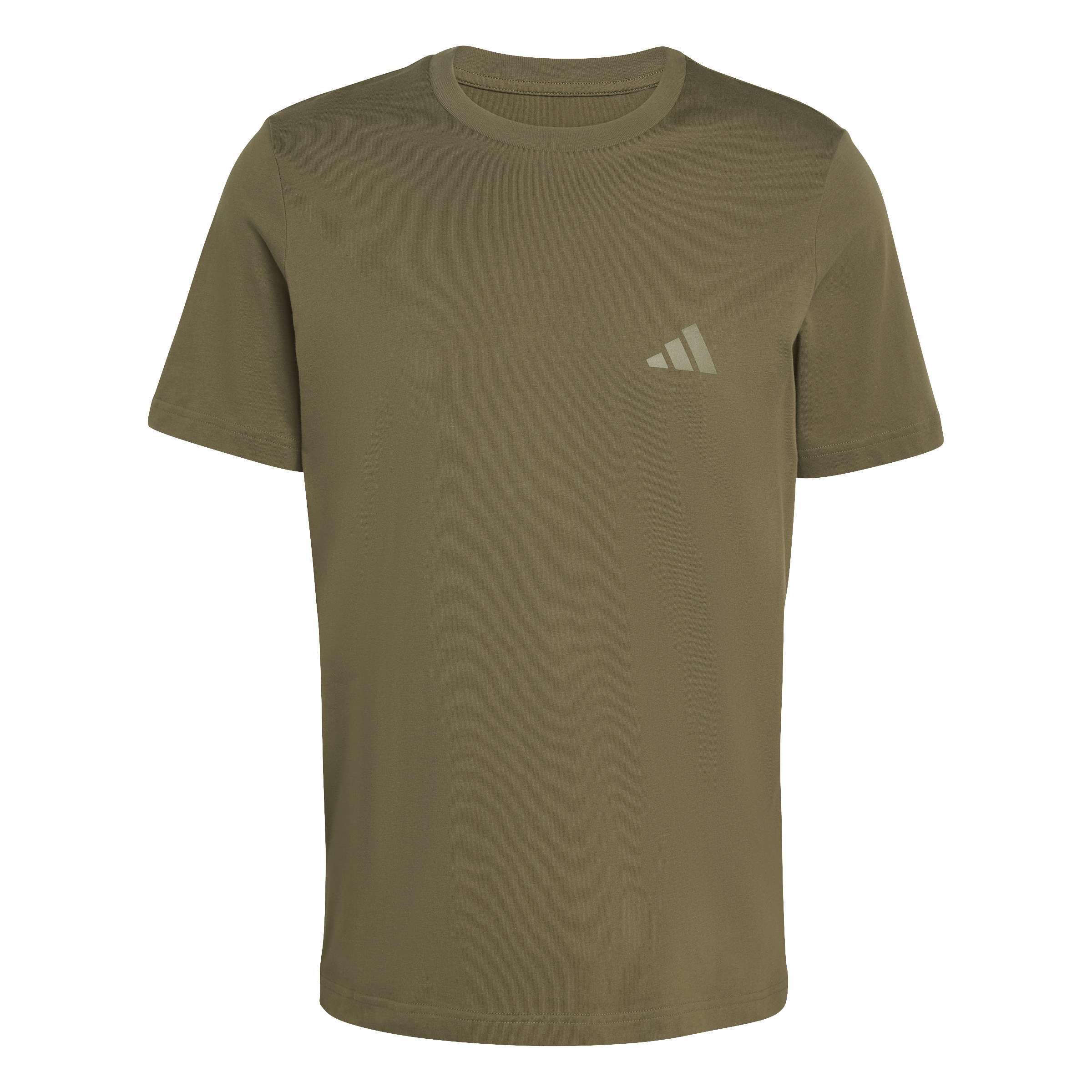 adidas Men's Terrex Mountain Graphic Tshirt, Olive strata, S