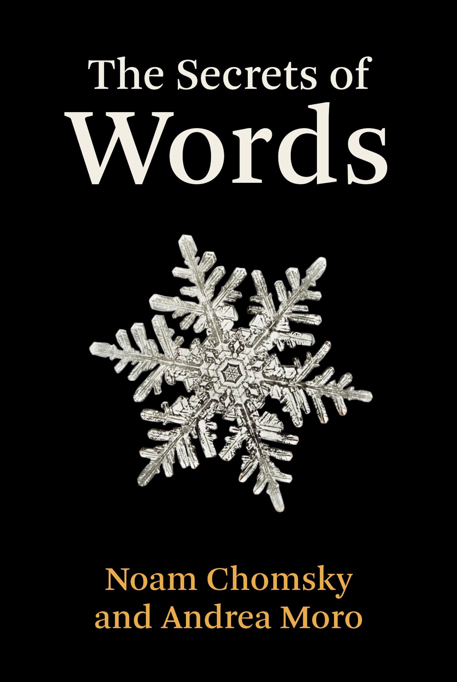 MIT Press The Secrets of Words