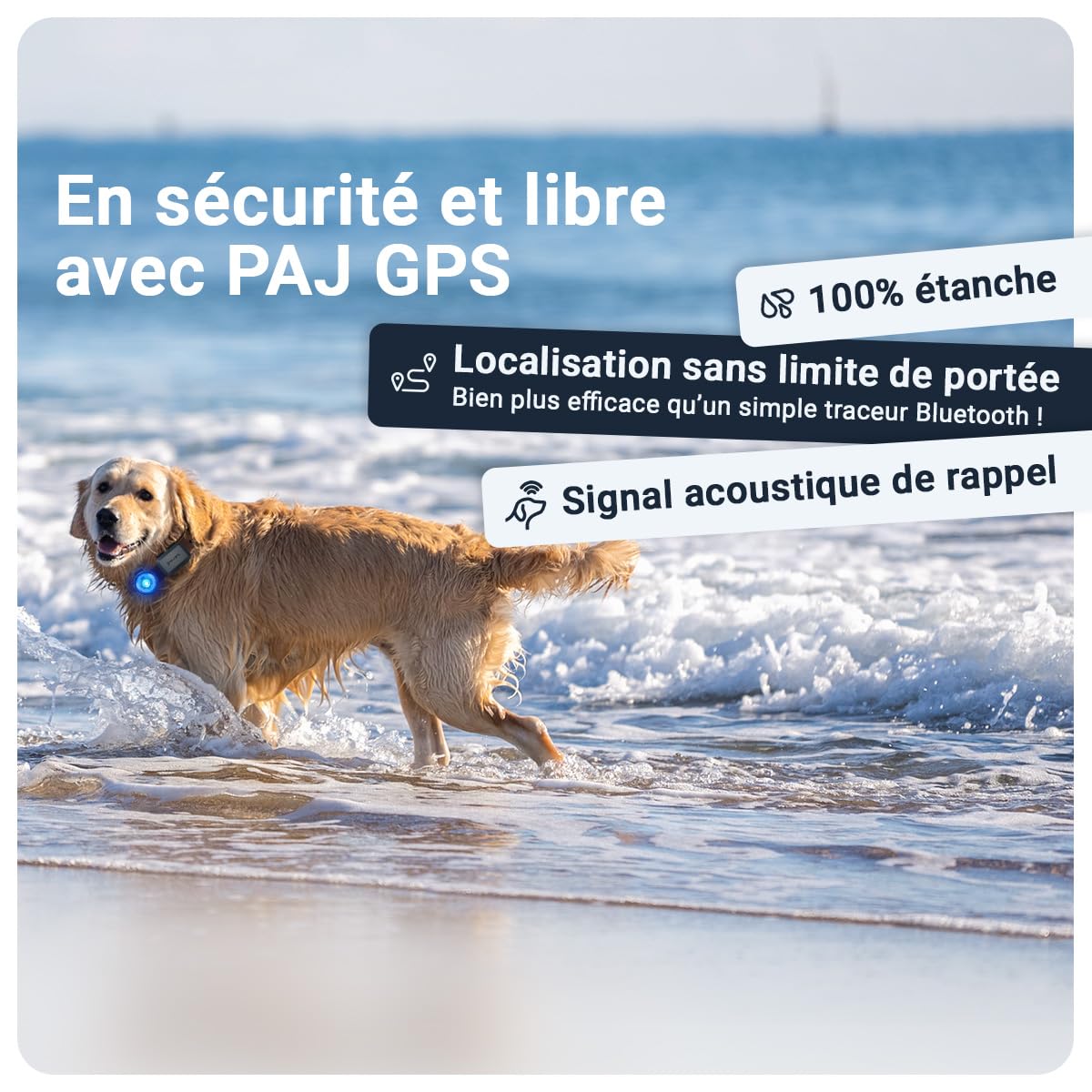 PAJ Traceur GPS 4G Mini + LED pour Petits Chiens, INCL. 3 Mois | Alerte anti-fugue - Suivi en temps réel - 100% étanche - Compatible tous colliers/harnais - Batterie jusqu'à 10 jours