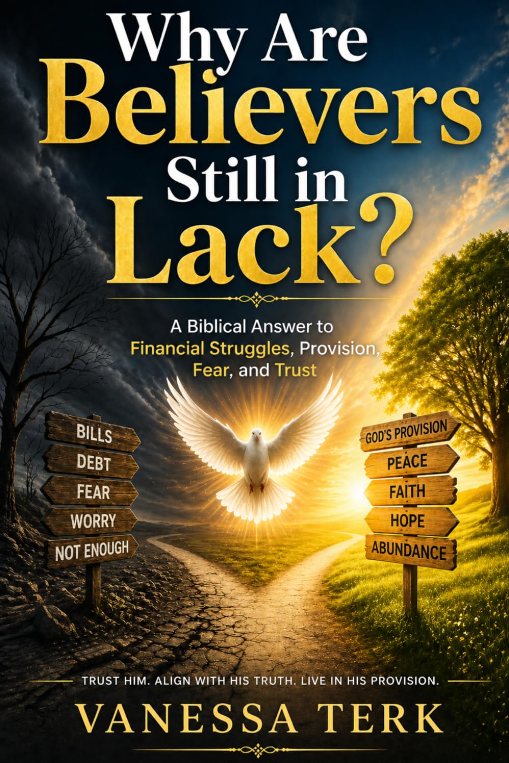 Why Are Believers Still in Lack?: A Biblical Answer to Financial Struggles, Provision, Fear, and Trust