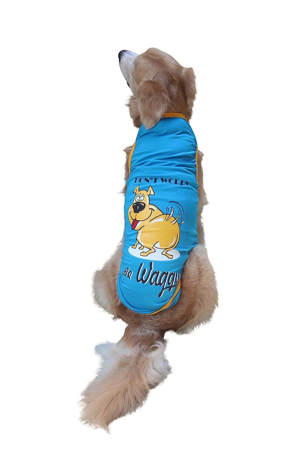 Doxters S20 Turqoise Blue, Dog T Shirt Sleeveless Muscle Tee with Be