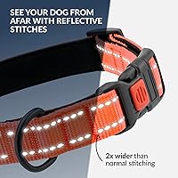 Vista 52 de CollarDirect Reflective Dog Collar for a Small, Medium, Large Dog or Puppy with a Quick Release Buckle - Boy and Girl - Nylon Suitable for Swimming