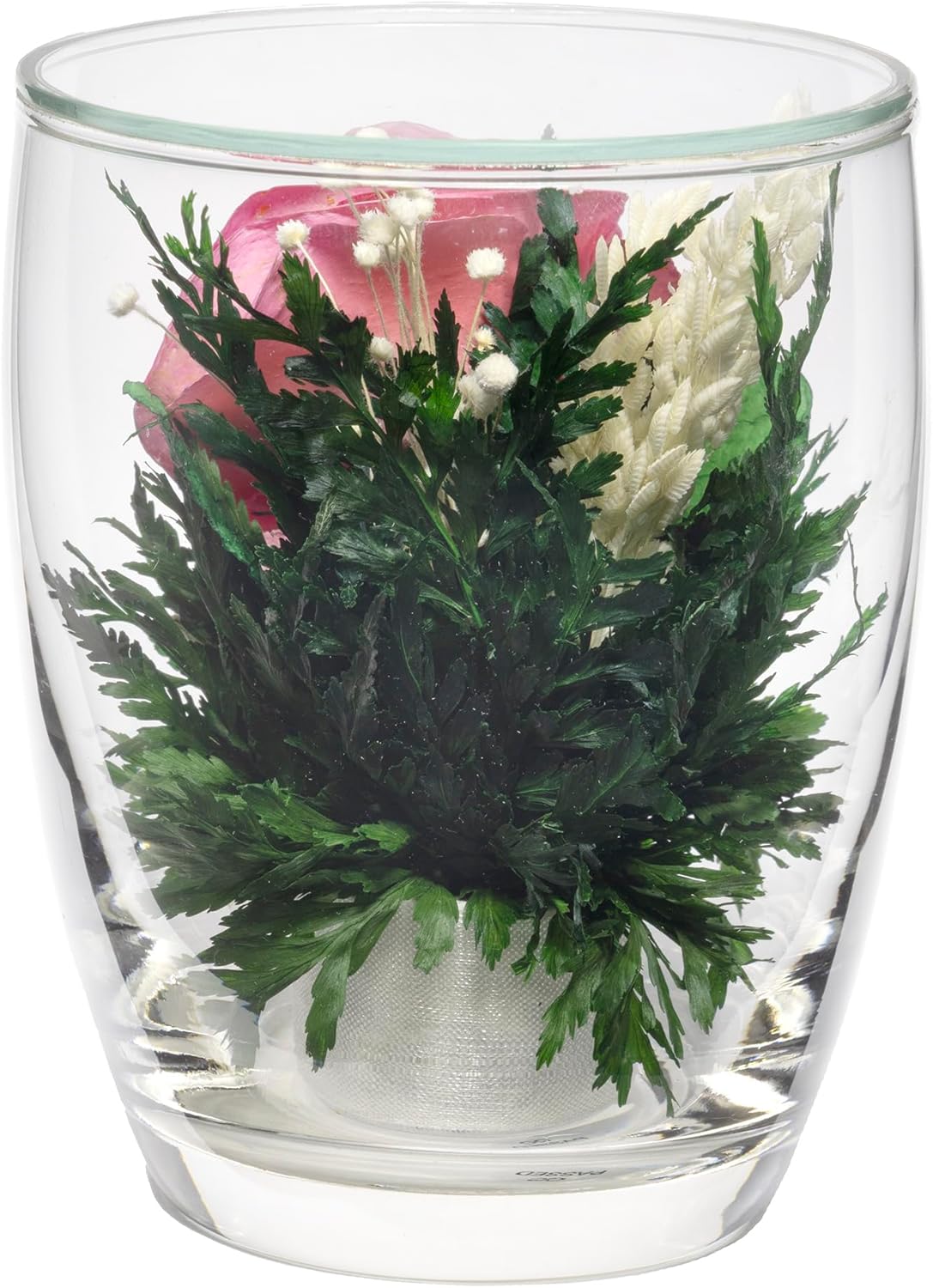 Fiora Flower Preserved Flowers in Glass Vase | Real Long-Lasting Floral Arrangement | No Watering | Home Décor Gift (Ruby Charm)