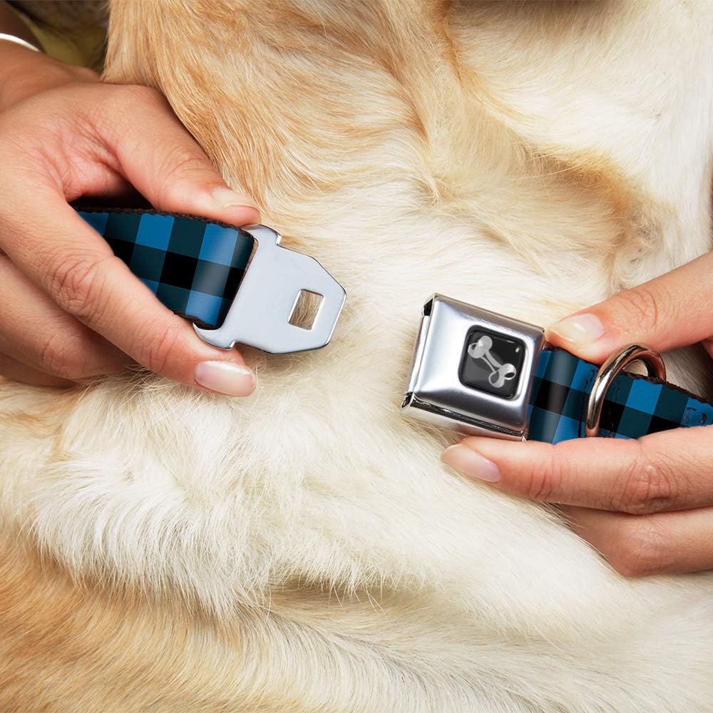 Buckle-Down Seatbelt Buckle Dog Collar - Buffalo Plaid Black/Turquoise - 1" Wide - Fits 11-17" Neck - Medium