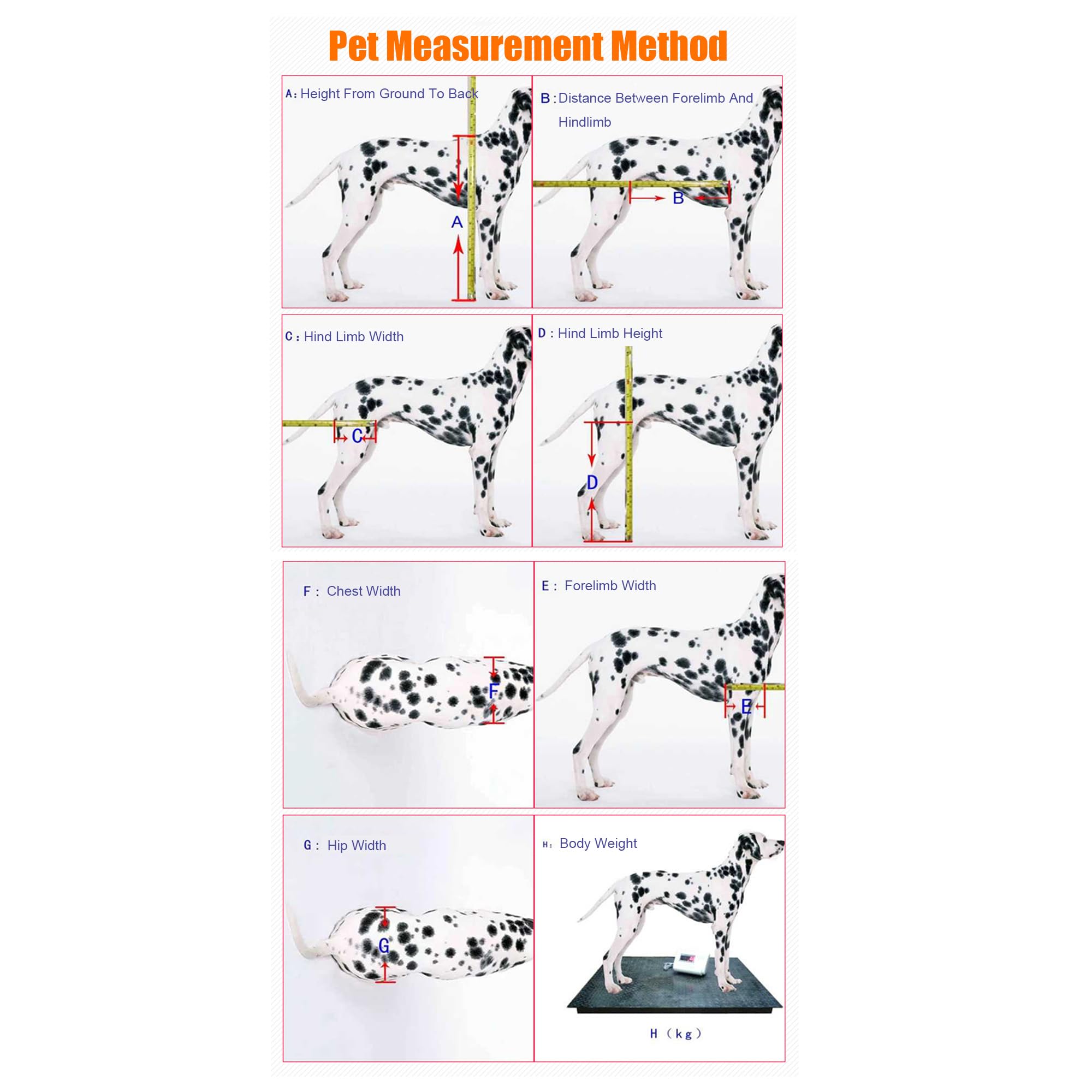Yinian 2 Ruote Sedia a Rotelle per Cane Carrello per Disabili Scooter per Animali Domestici Carrello per Cani Disabili con Ruote per Riabilitazione di Gambe di Animali Disabili(Size:XL（20-30kg）)