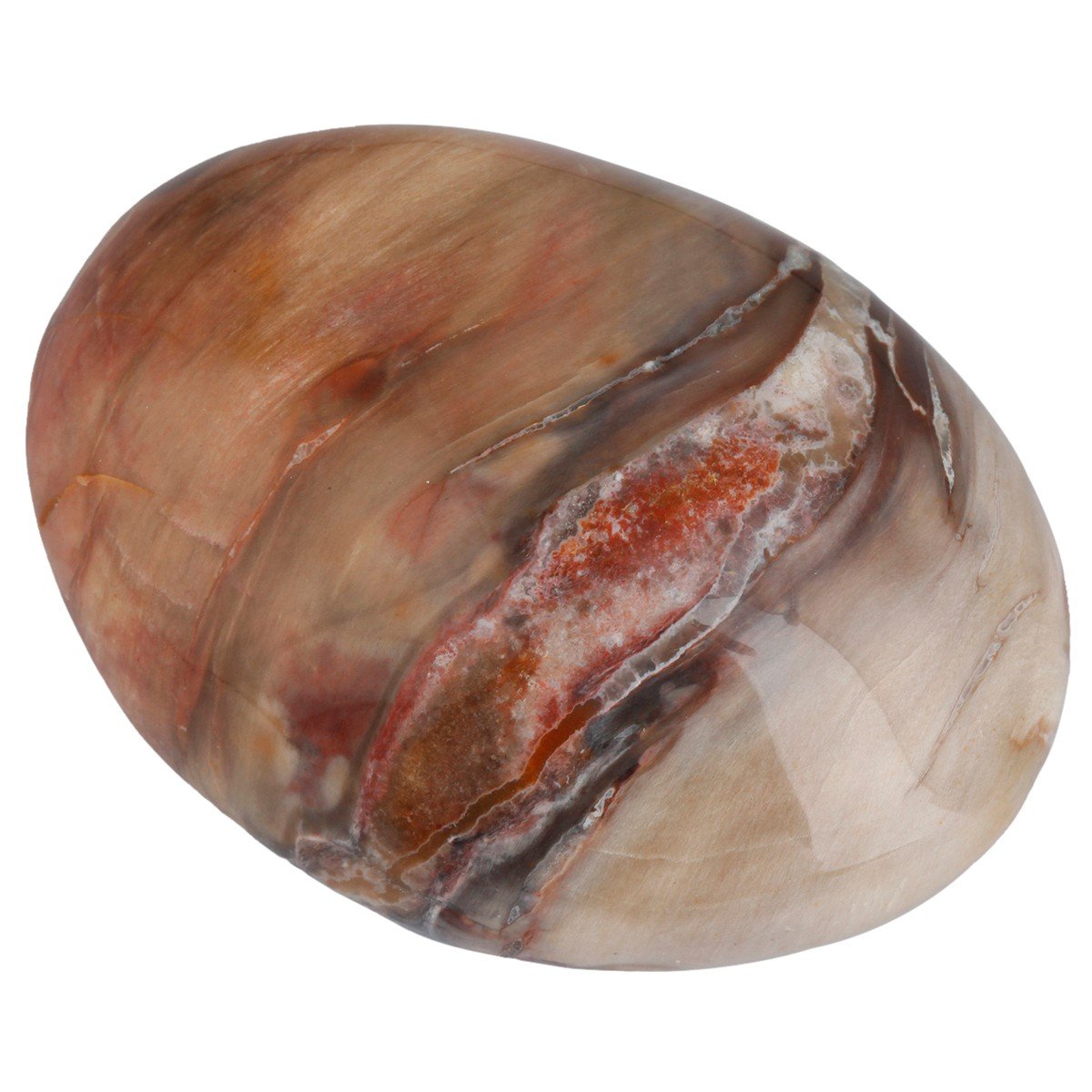 mookaitedecor Bois Pétrifié Pierre Polie Roulée Naturelle Reiki Lithothérapie Pierres et Cristaux Décoration Collection