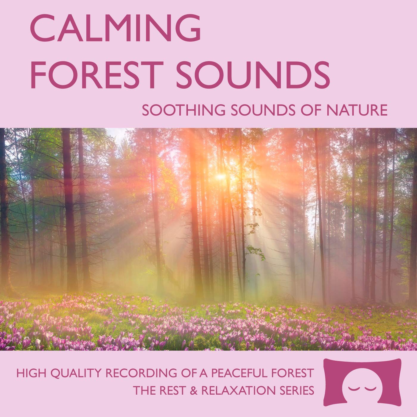 Calming Forest Sounds - Soothing Nature Ambience for Stress Relief, Meditation and Creating a Peaceful Environment - Natural White Noise