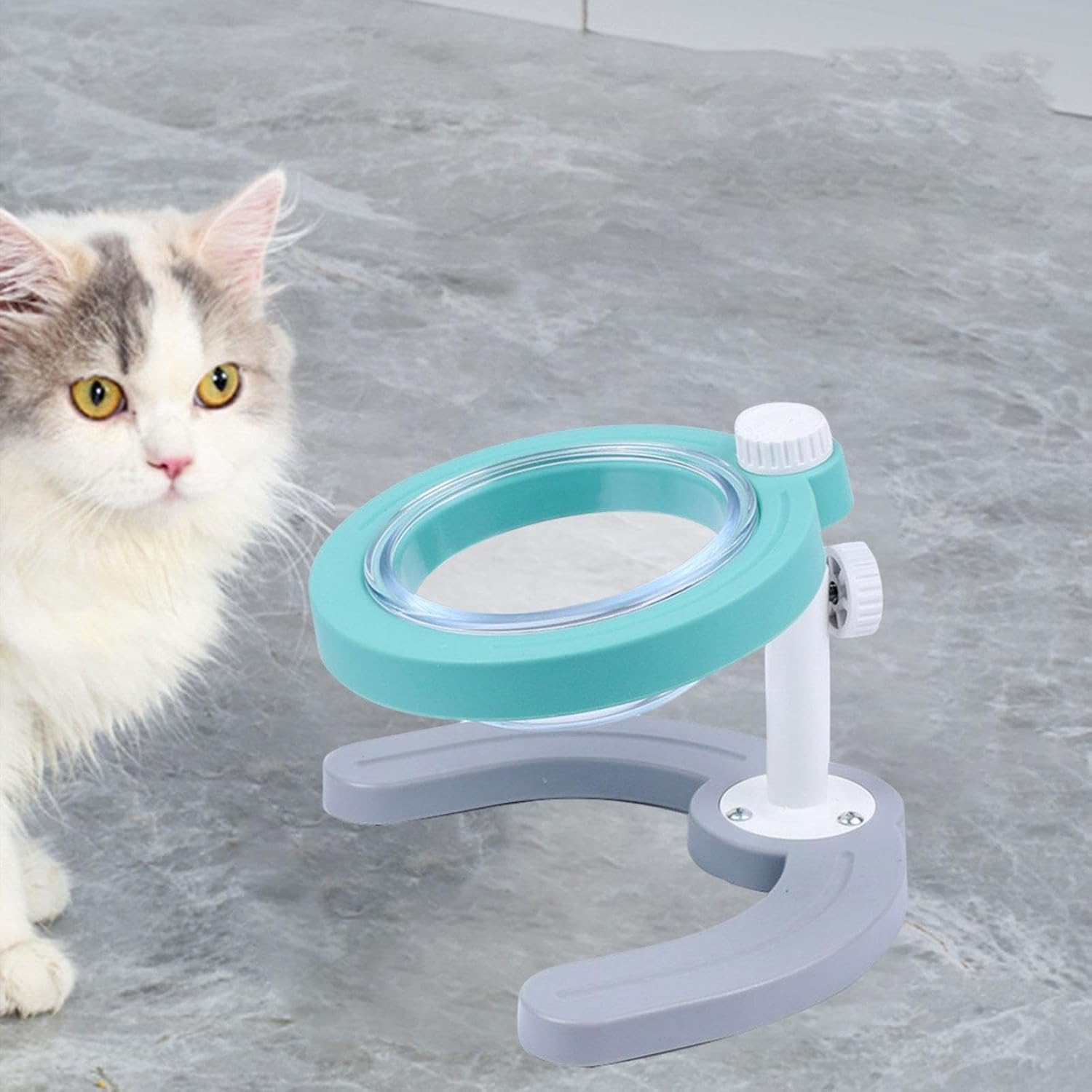 Pet Feeder with Stand Raised Cat Food Bowl Adjustable Height Cat Dishes for Small Dogs Cats Station Non Slip Pet Feeding Bowl, Blue(Blue)