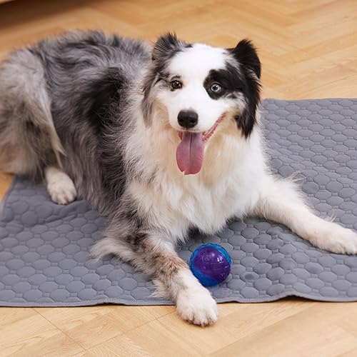 Miniatura 8 de Casa Paw Almohadillas lavables para orinar para perro, extra grandes, almohadillas reutilizables de rápida absorción, almohadillas antideslizantes