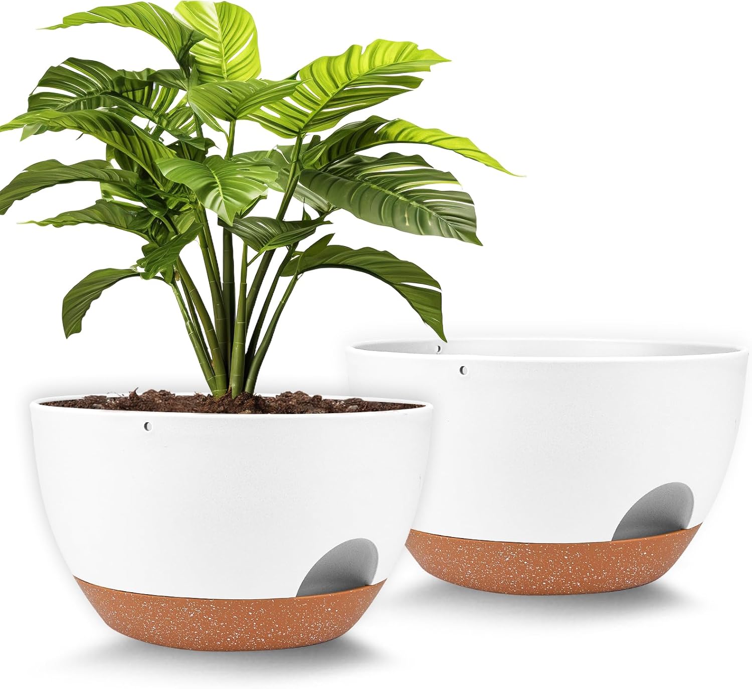 Vanslogreen Plant Pots 12inch Self Watering Pots, Set of 2 Plastic Planters with Drainage Holes and Saucers, Flower Pots for Indoor Outdoor Plants (White)