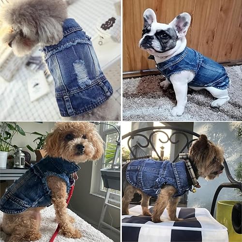 Miniatura 7 de Linda chaqueta de mezclilla para perro, disfraz de mezclilla azul fresco para mascotas, camiseta de moda para cachorros, chalecos clásicos de solapa