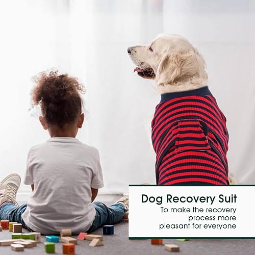 Miniatura 6 de Kuoser Store - Traje profesional para mascotas, para recuperación de cirugías, vendaje para heridas abdominales, sustituto del collar electrónico y