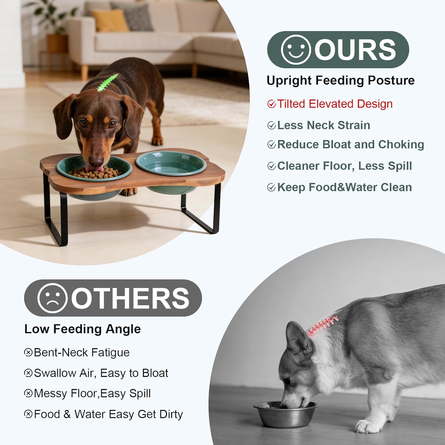 SPUNKYJUNKY Ceramic Elevated Tilted Dog Bowls Bone-Shaped Raised with 2 Height Iron Stand, 6.9'' Dog and Cat Food Water Bowls Set Non-Slip for Small Medium Sized Breed - 20 OZ,Dark Green