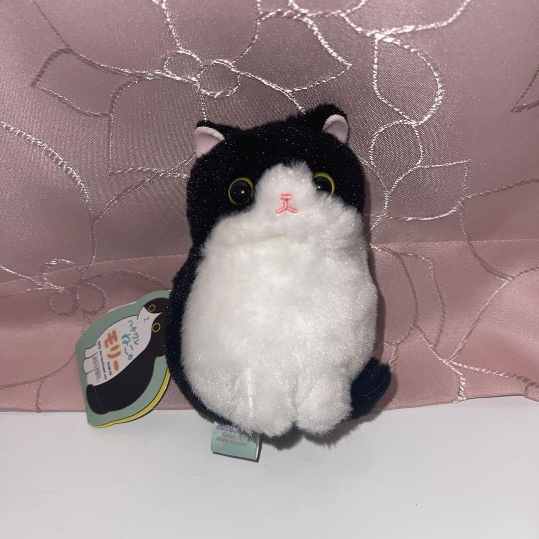 Amazon.co.jp: ハチワレねこのモリー マスコット ぬいぐるみ 黒猫