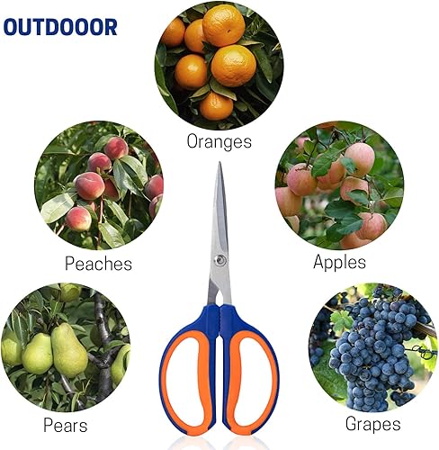 Miniatura 4 de Tijeras de bonsái, cortadores de jardinería, tijeras afiladas para recortar plantas, tijeras de podar flores, herramientas de corte de rosas con