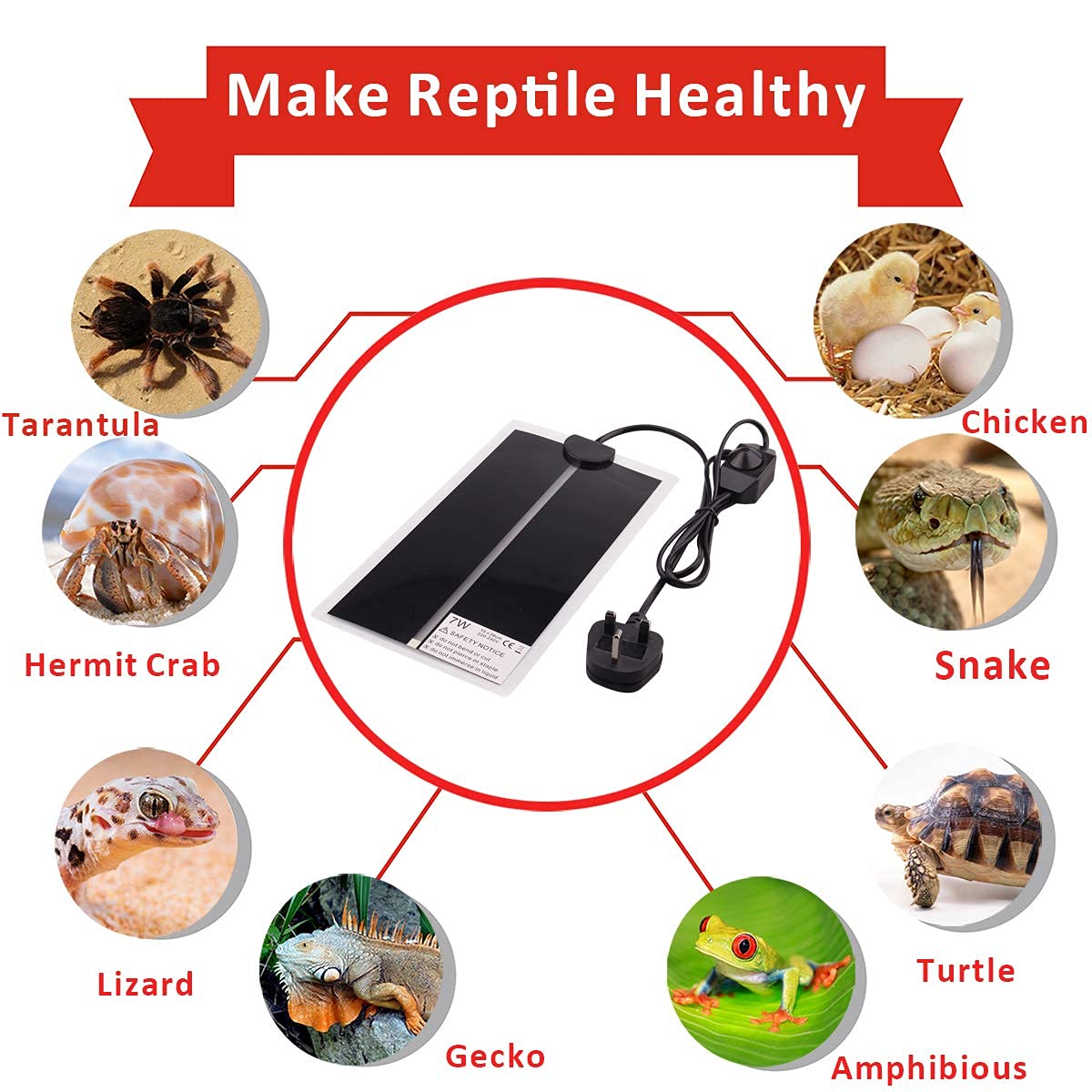 Tappetino Riscaldante Per Rettili Da 20 W, 42 X 28 Cm, 220 V Tappetino Riscaldante Per Rettili Con Regolazione Della Temperatura Tappetini Riscald 98666379 - Foto 2