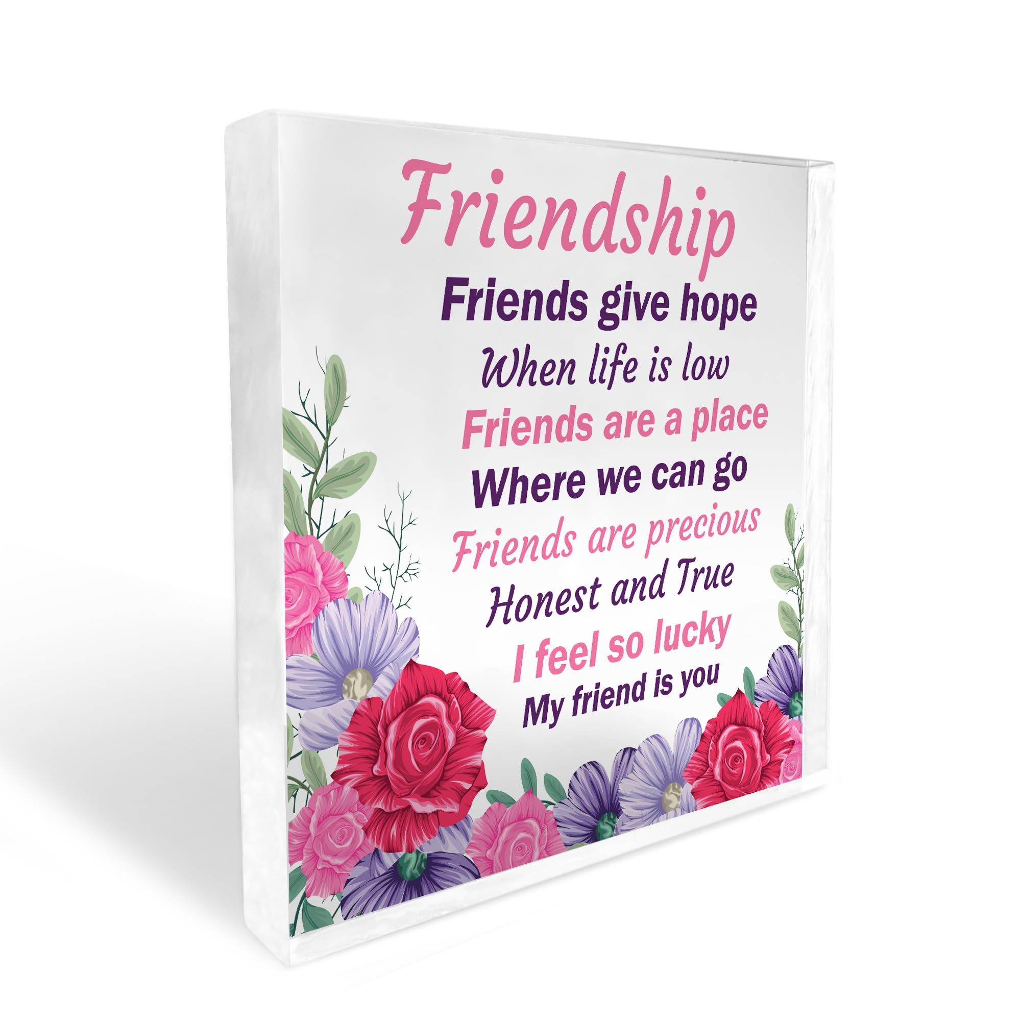 Red Ocean Friendship Gift For Women Acrylic Block Friendship Sign Best Friend Gift For Birthday Christmas Keepsake Gift For Him Her