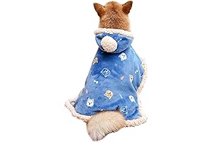 Warm and Stylish Dog Clothes for Cold Weather