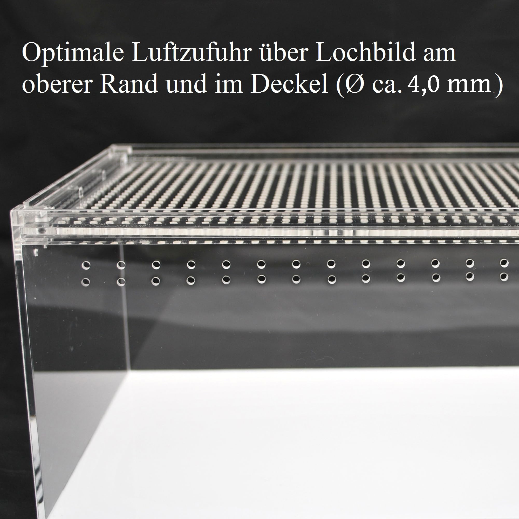 Acryl- Glas-Terrarium 30x20x15 cm für Futtertiere, Reptilien, Amphibien