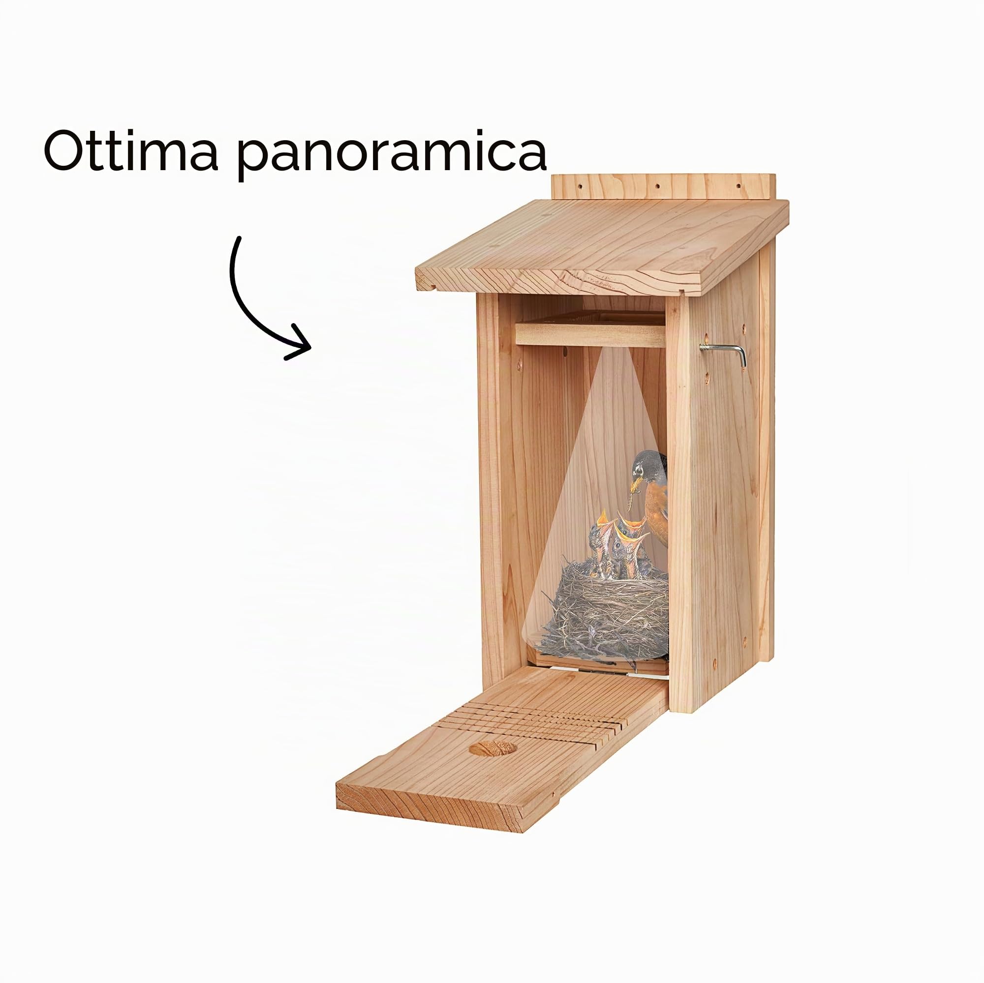 Little Birds - Casetta per uccelli in legno massiccio per telecamera lampeggiante, senza elettricità/cavo necessario, protezione contro gatti e picchi, incubatrice, casetta per uccelli