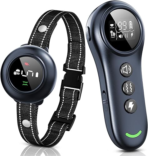 2-in-1 RS8 training collar