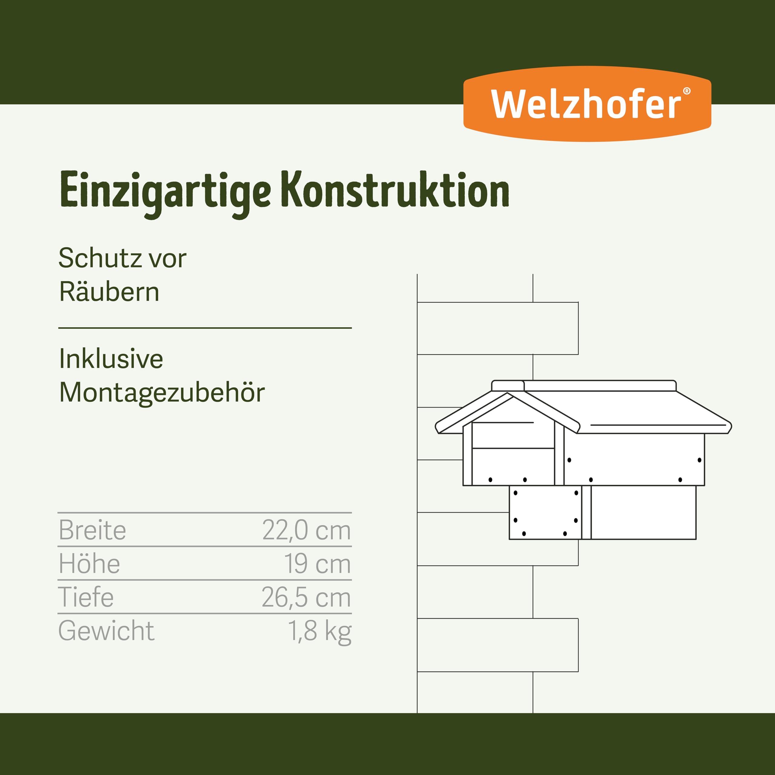 Nistkasten David, Halbhöhle Vogelhaus, handgemacht in Europa, für Hausrotschwänze, Bachstelzen, Grauschnäpper und Rotkehlchen, hochwertiges Kiefernholz