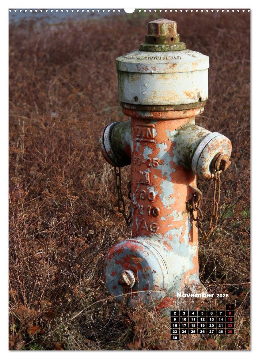 Nostalgie Hydranten (hochwertiger Premium Wandkalender 2026 DIN A2 hoch), Kunstdruck in Hochglanz: Hydranten am Straßenrand (CALVENDO Technologie)