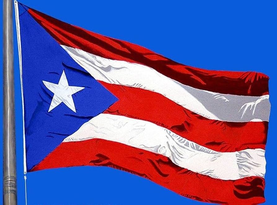 New Huge 4X6 Ft Puerto Rico State of Flag : Amazon.ca: Home