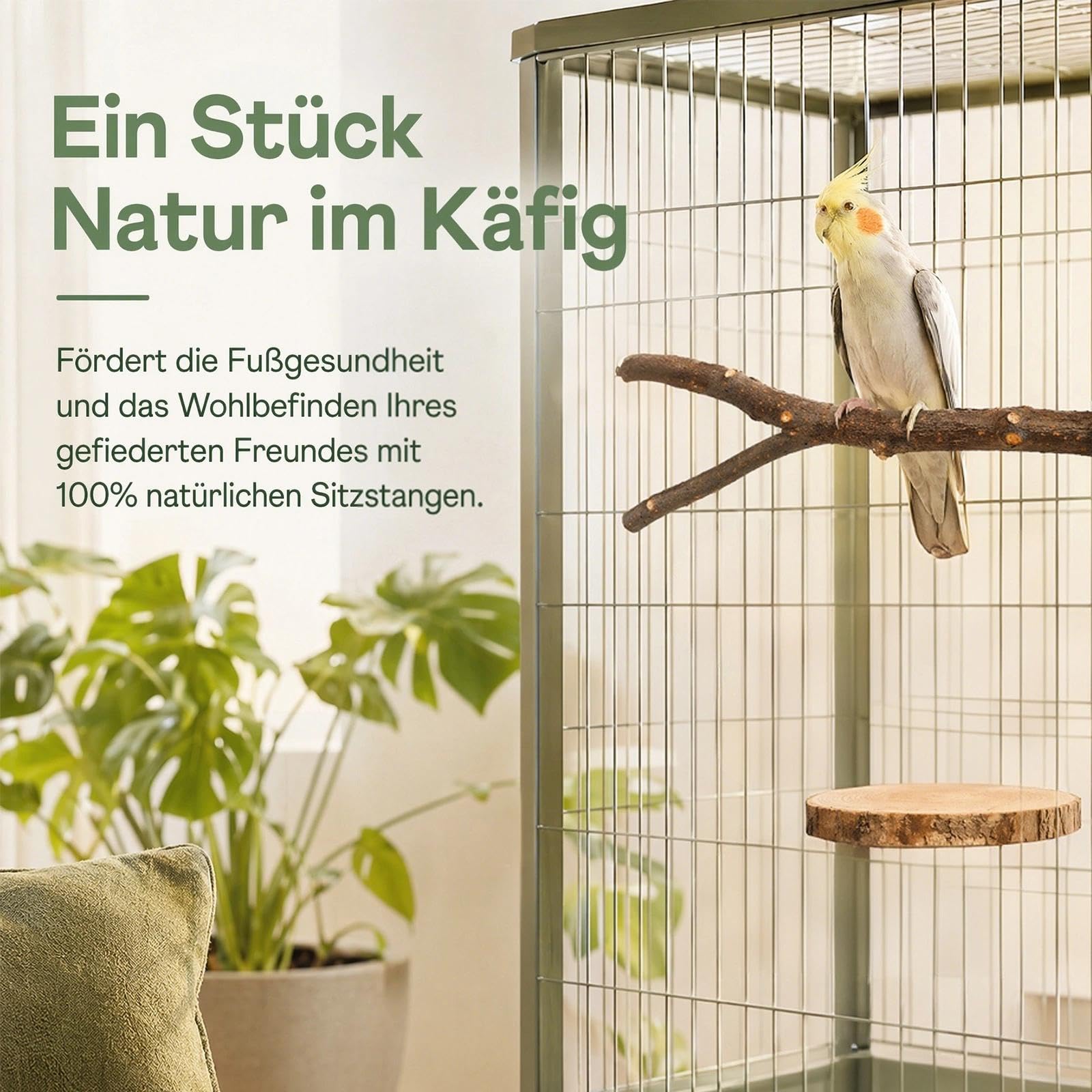 Juego de 6 piezas de elementos de madera natural, juego de perchas naturales, juguete para cacatúas, juguete para cacatúa, pájaro, pájaro, pájaro, loro, jaula de pájaros