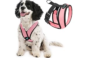 Gooby Comfort X Head in Dog Harness, Small