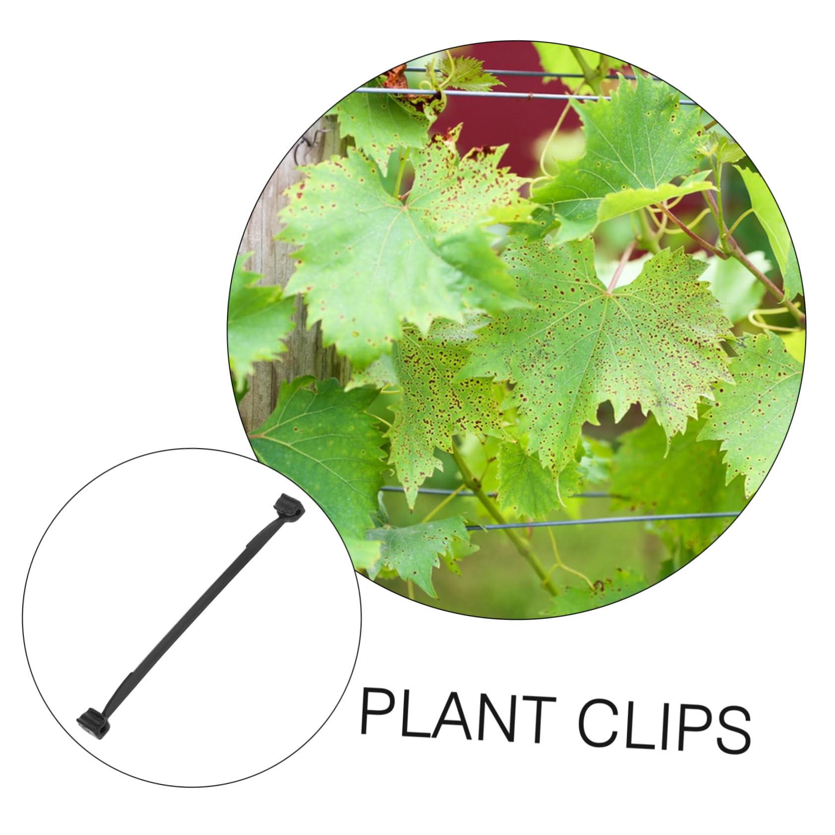ORFOFE Mollette per Piante per Viti e Rami, Clip di Fissaggio in Plastico Nero, Facili da Usare, per Giardino e Sostegno Tralci, 1 Sacchetto