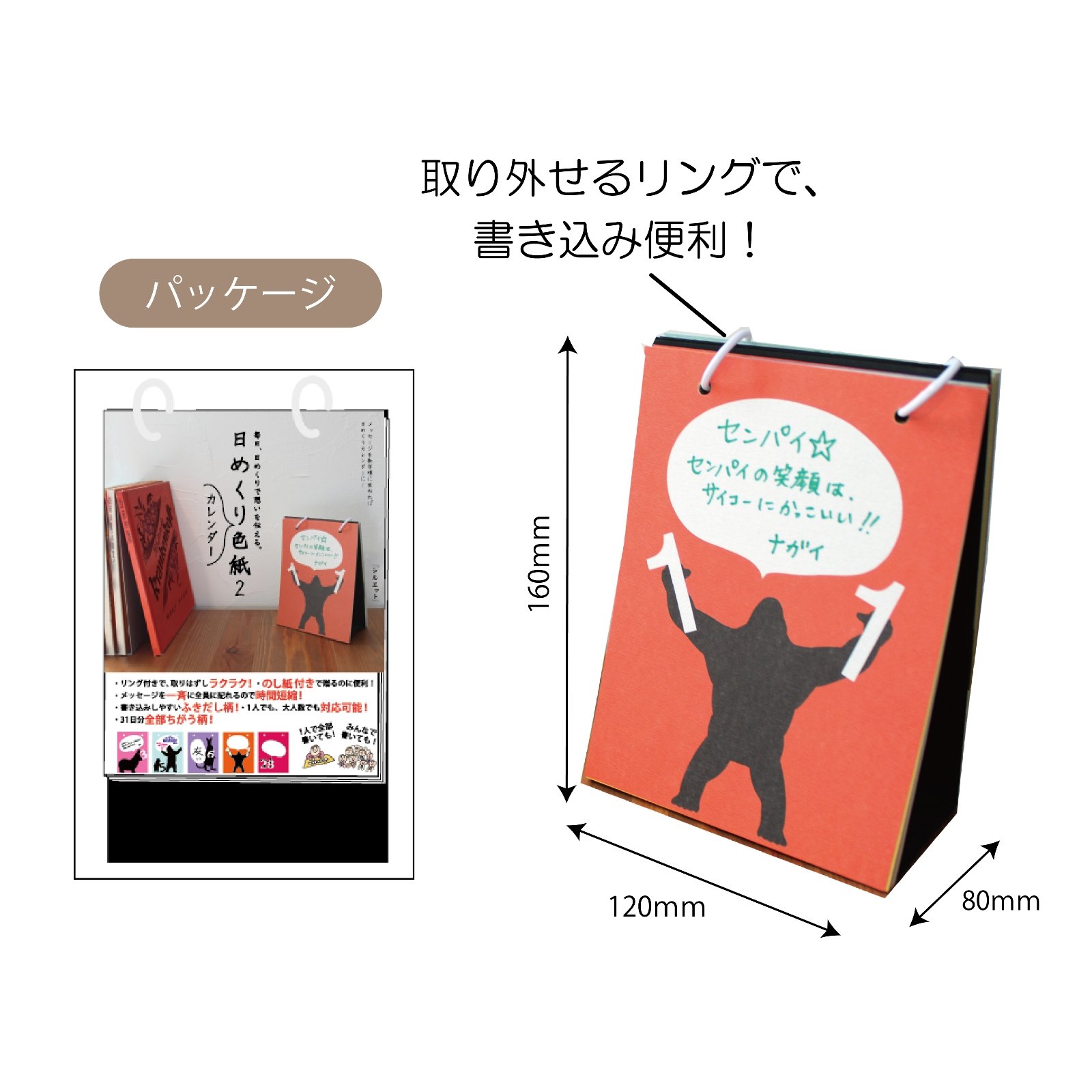 Amazon | アルタ 色紙 寄せ書き 日めくり色紙2 写真 サイズ:約W12 D1